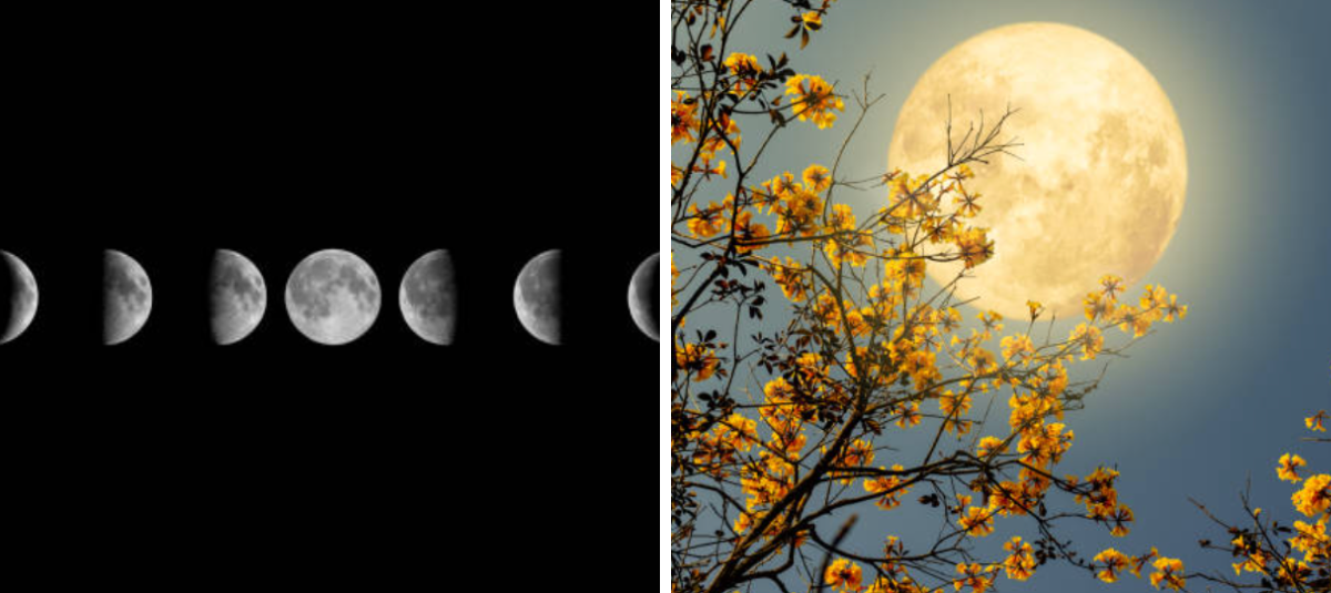 moon