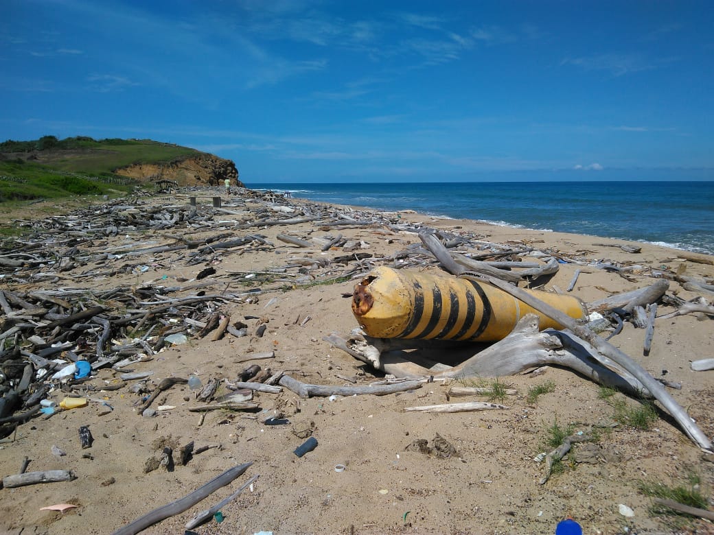 Cortesía Nelson Rangel