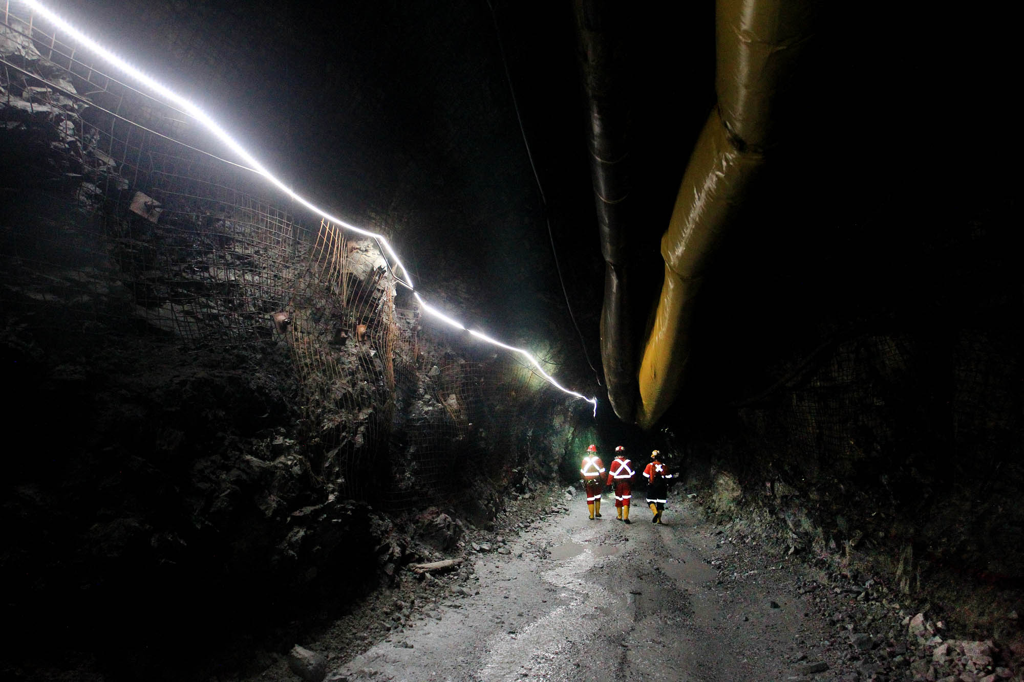 Soma Gold