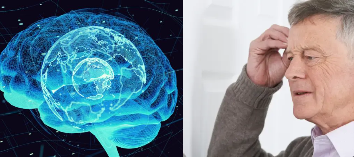 Cientistas descobrem informações importantes sobre neurônios de aprendizagem e memória