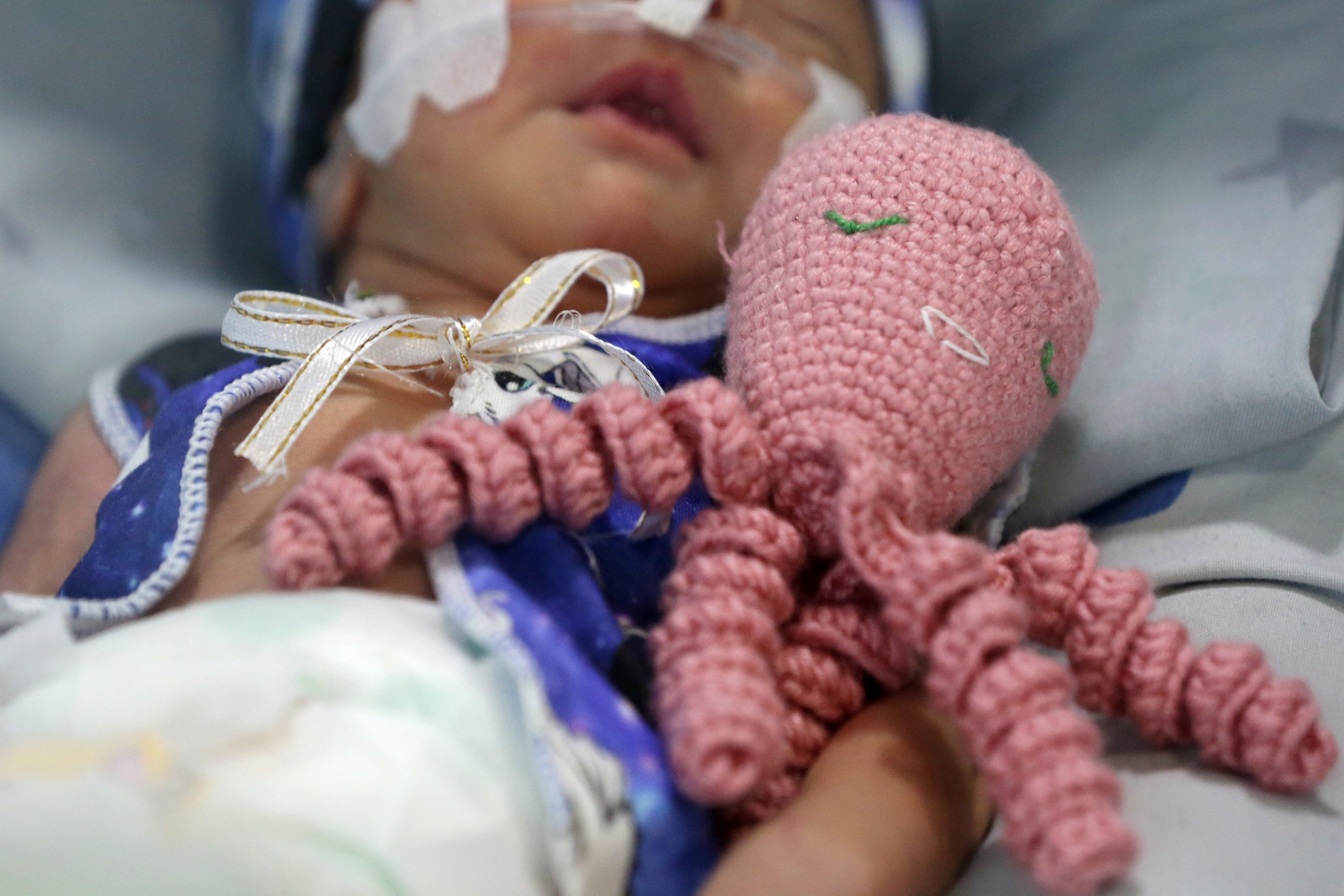 Los Bebés Prematuros DUERMEN EN UNA ESPECCIÓN DE NIDO EN SU INCUBADORA JUNTO A SU PULPO.