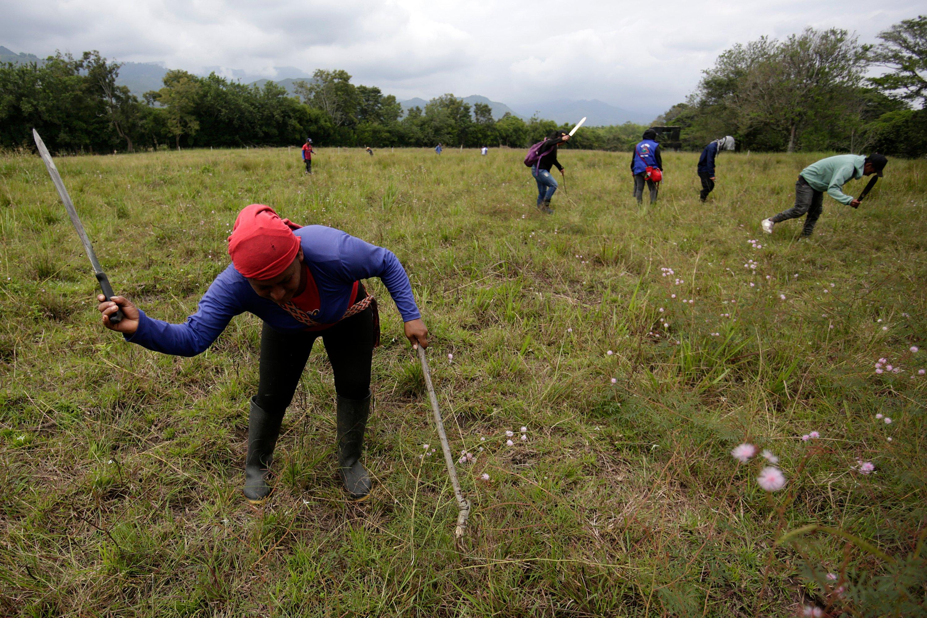 Terrenos cedidos por el Gobierno a indígenas en el norte del Cauca.