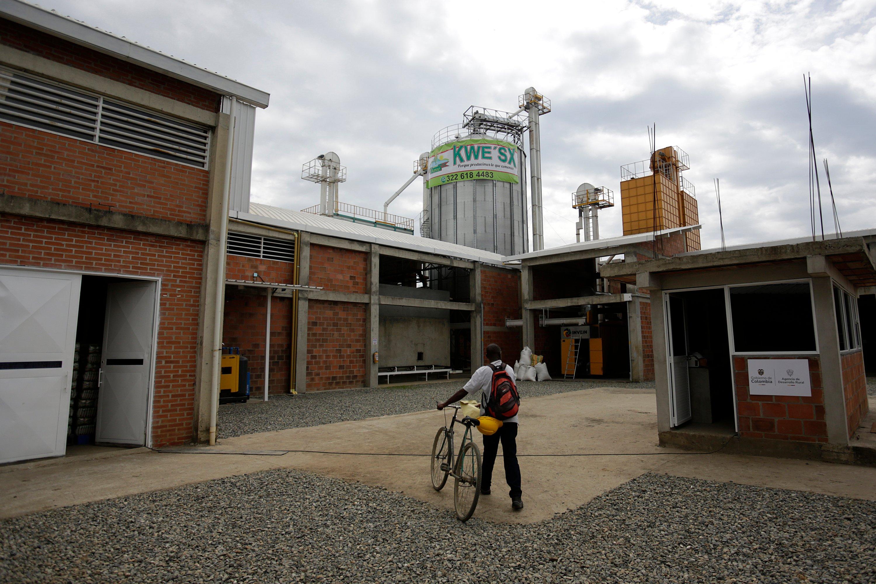Una nueva arrocera manejada por indígenas en el norte del Cauca.