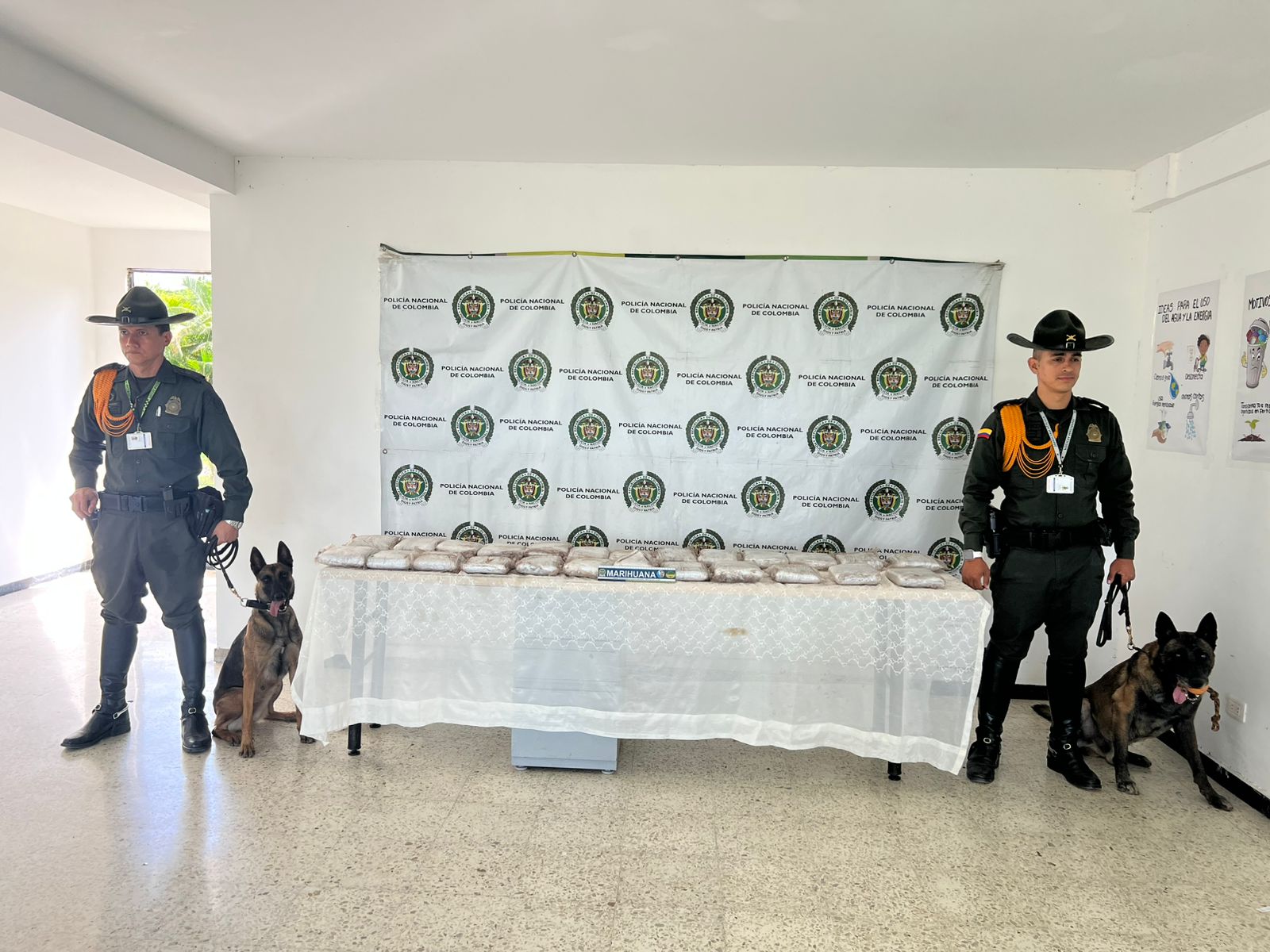 LOS POLICÍAS CANINOS MÁXIMO Y CHIKY HICERON POSIBLE ESTA INCAUTACIÓN DE DROGA EN EL VALLE.