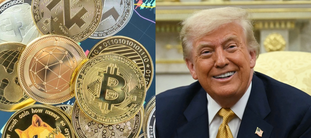 El Gobierno del Presidente Donald Trump Apoya Firmementa A ESTA Industria.