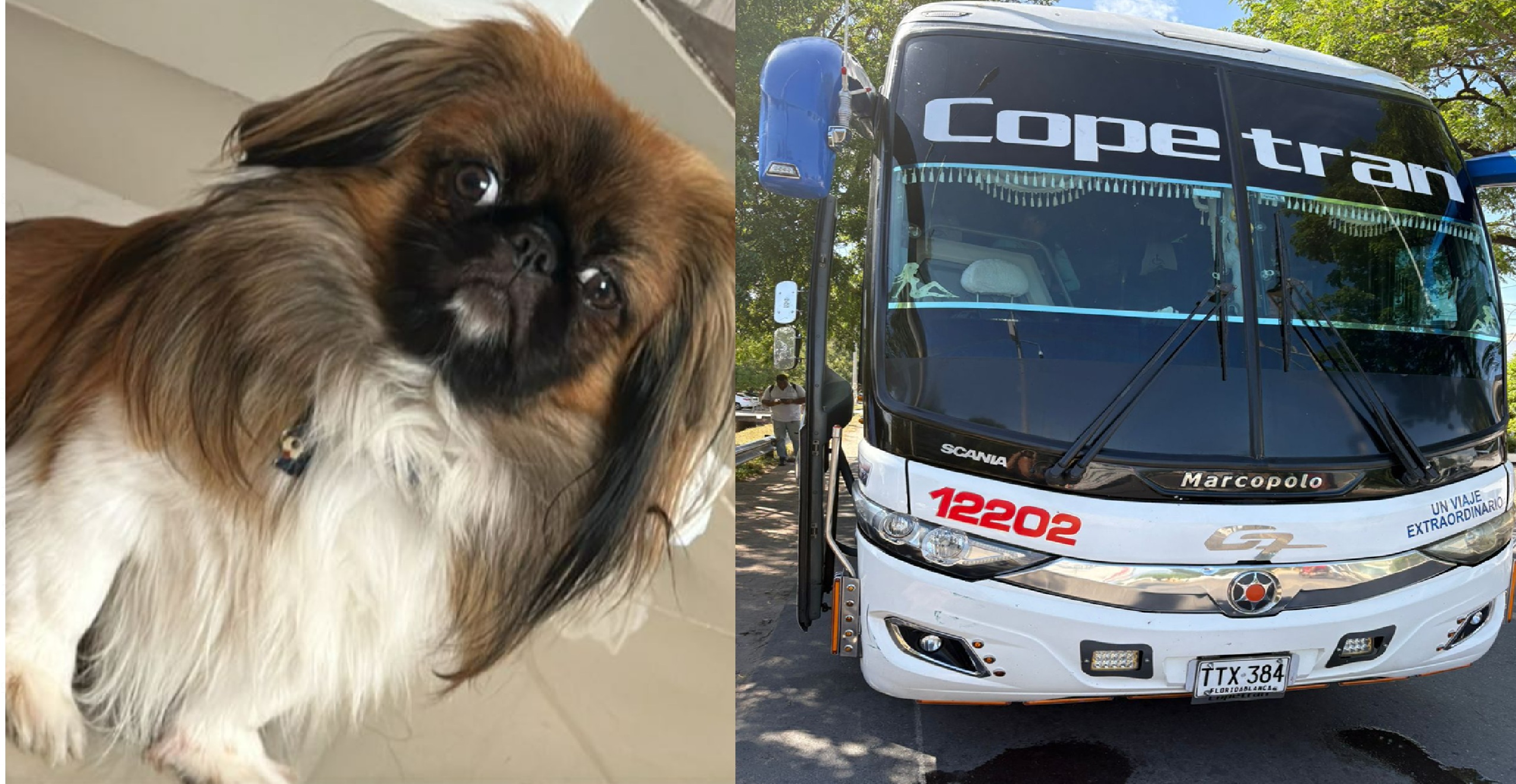 Maxi y Copetrán