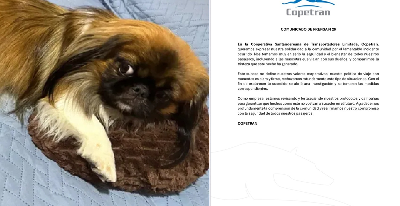 Maxi y Comunicado de Copetrán