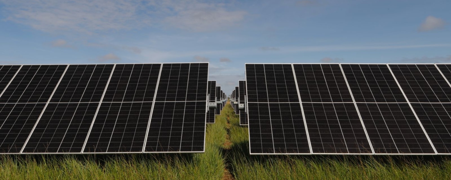 paneles solares