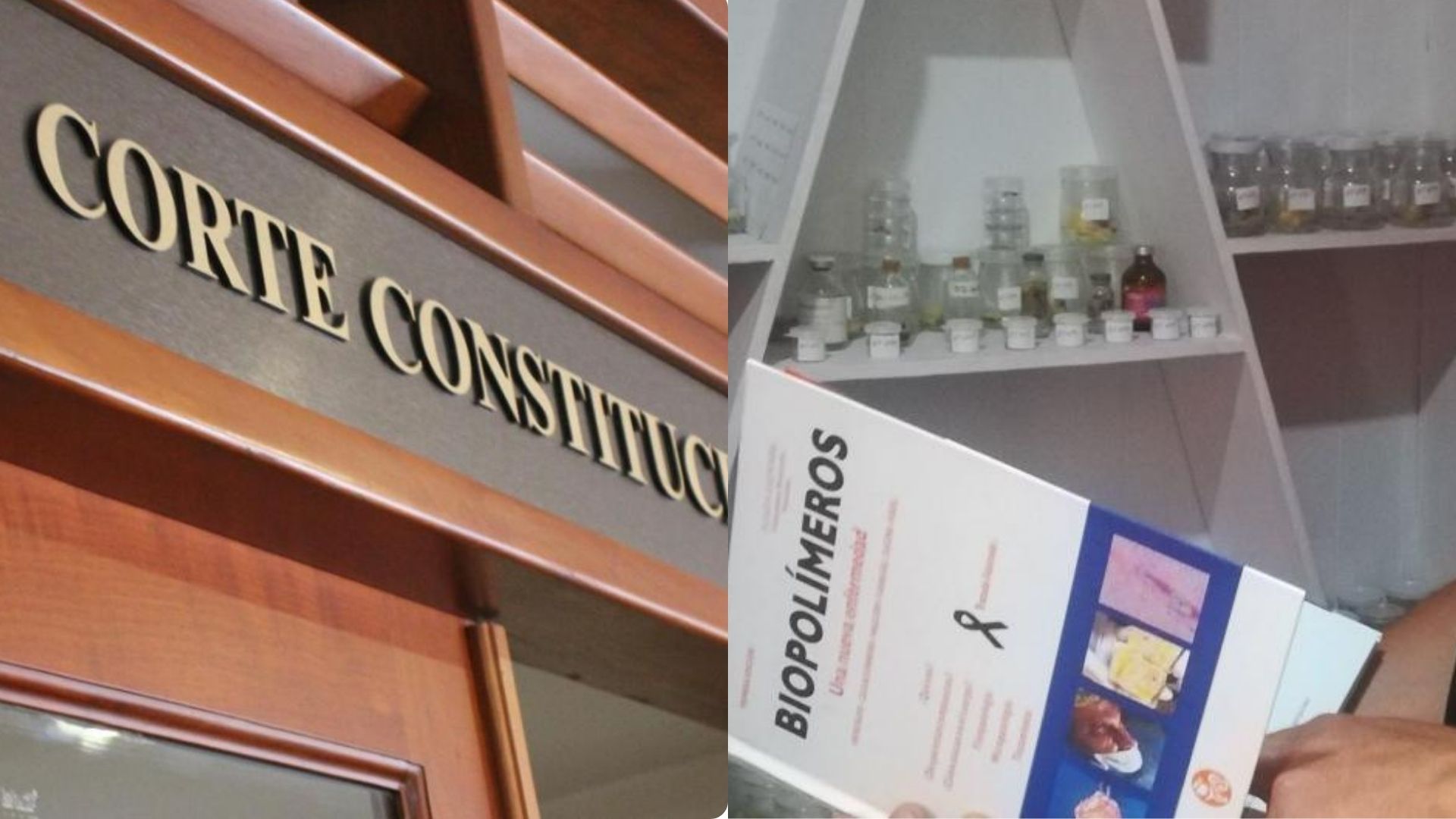 Constitutional Court