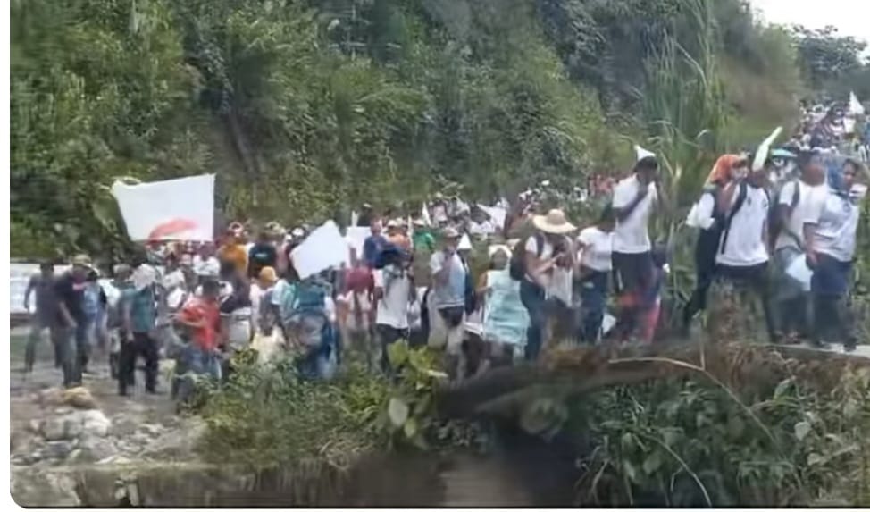 Nariño