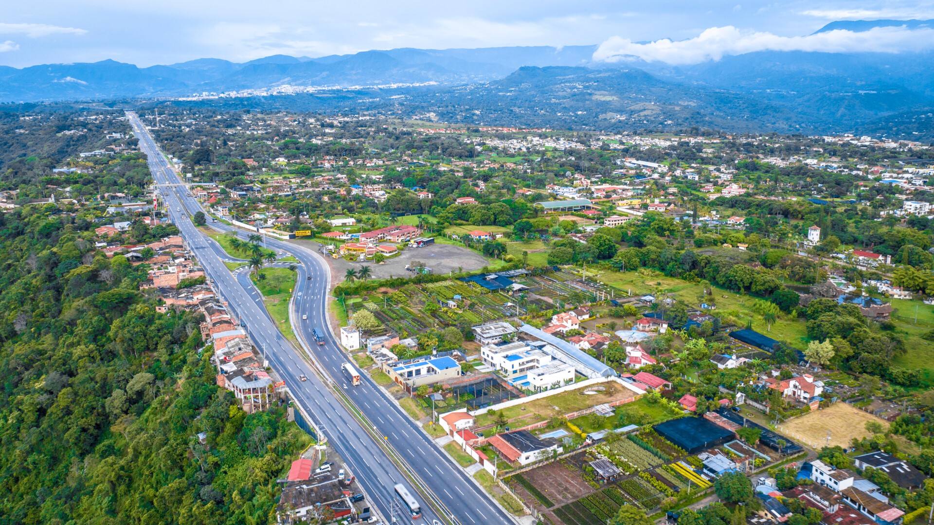 bogota