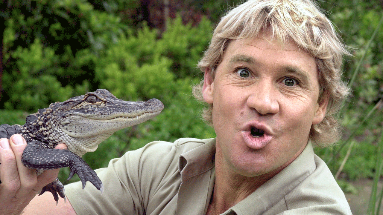 Steve Irwin El Cazador De Cocodrilos Muri En La Pobreza Sus Hijos 