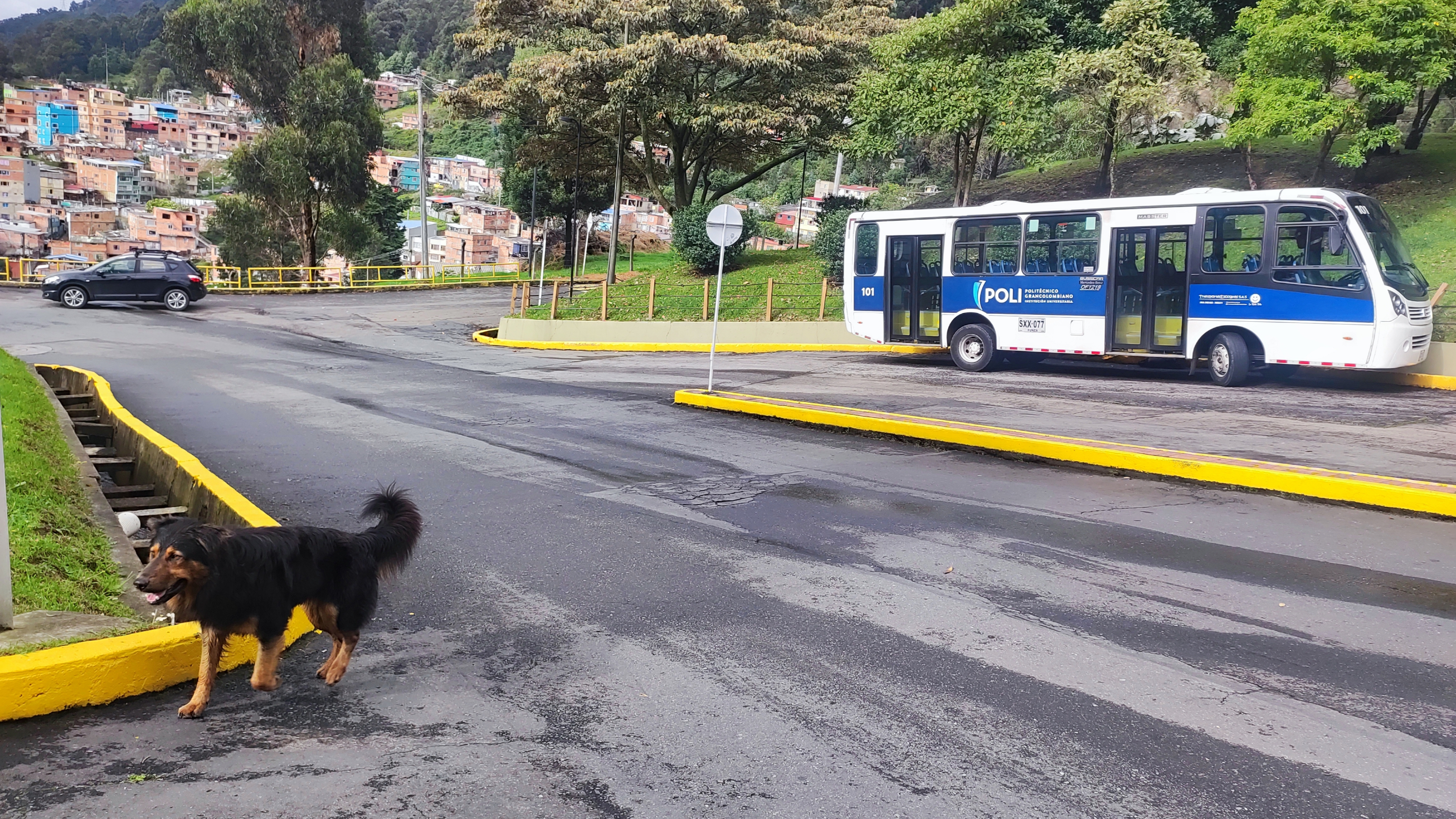 Politecnico Grancolombiano