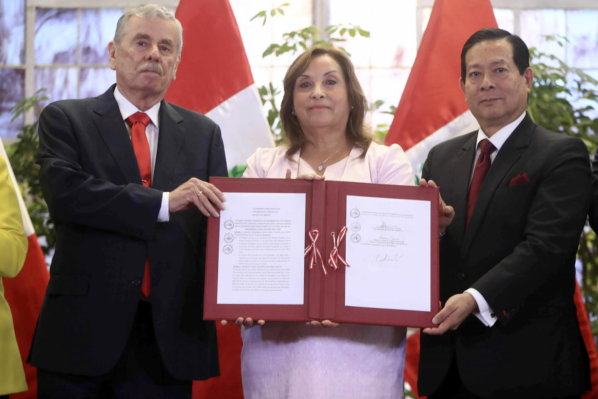 Amnistía