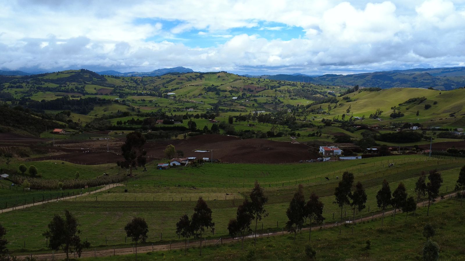 bogotá