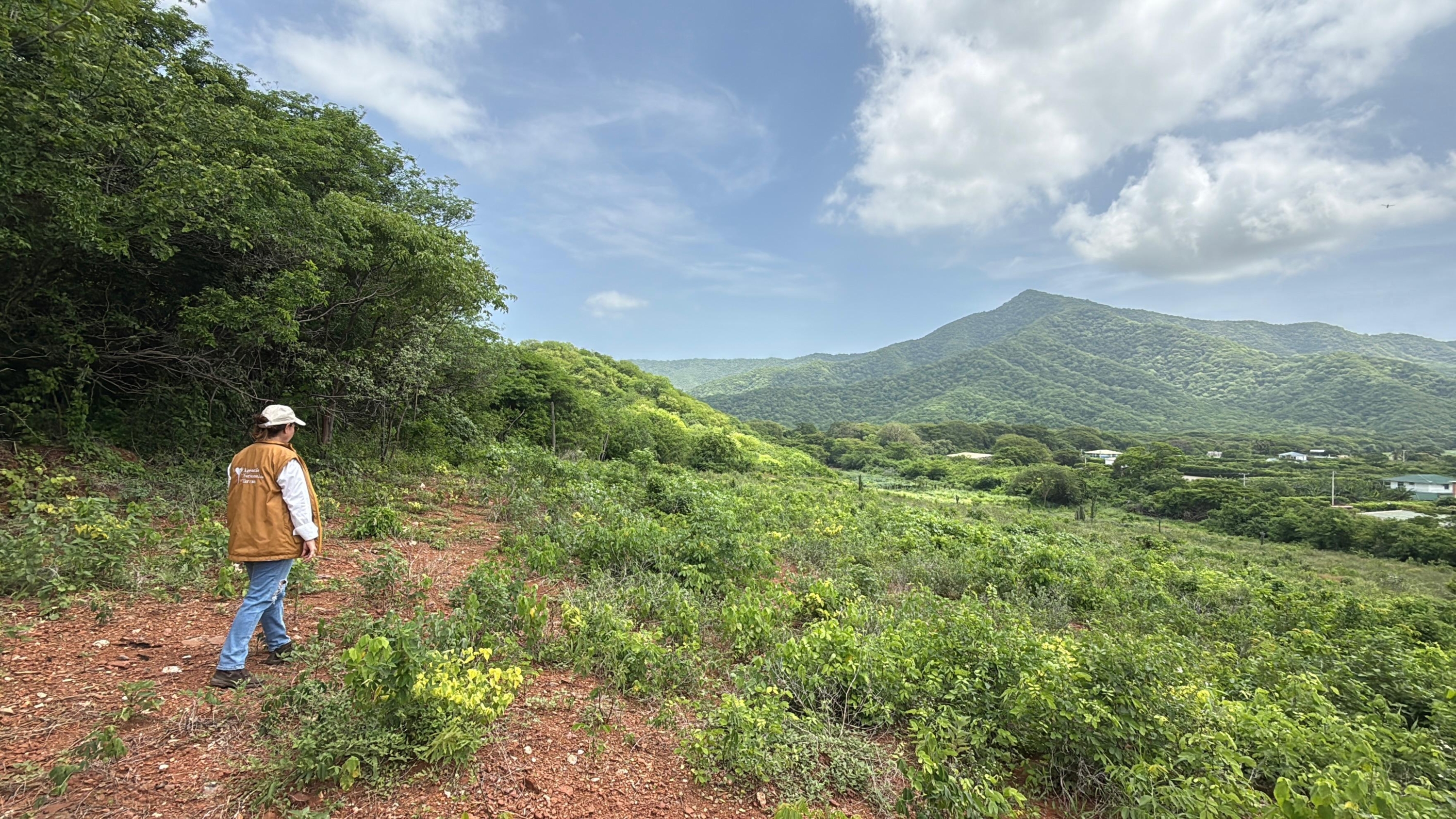 Recuperación de tierras para Loss Campesinos en el Magdalena