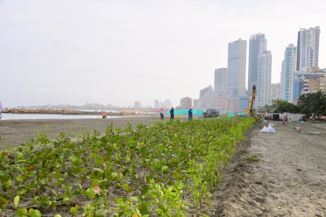 Bocagrande'deki Beach 3