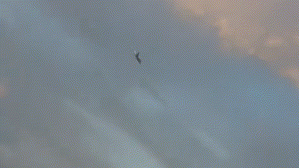 Video | Avión militar se estrelló contra la pista de aterrizaje cuando se preparaba para exhibición aérea en Polonia: piloto murió de inmediato