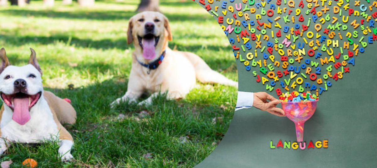 Lenguaje canino